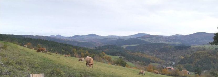 foncier agricole sécurité alimentaire